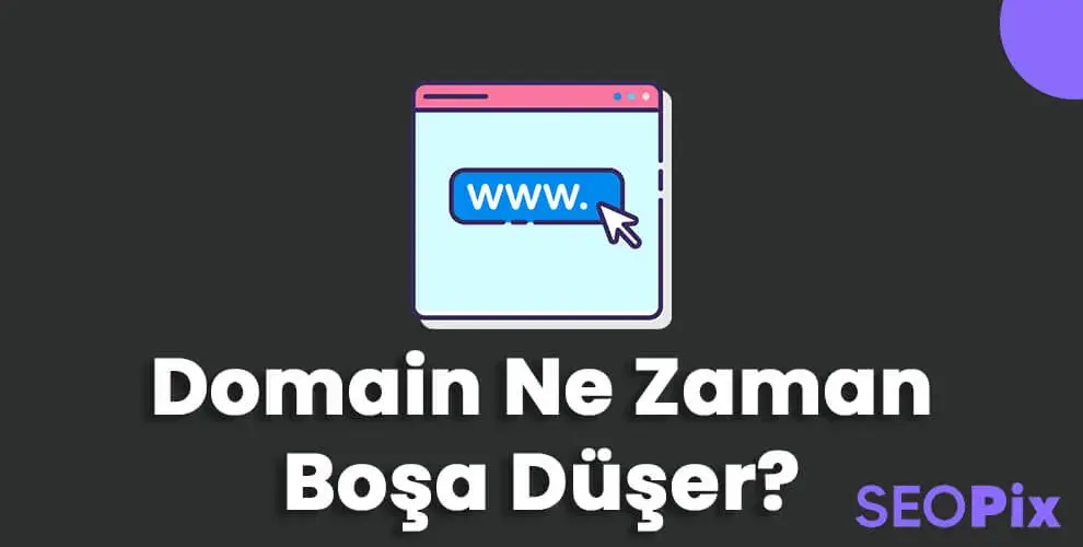 Domain (Alan Adı) Ne Zaman Boşa Düşer?