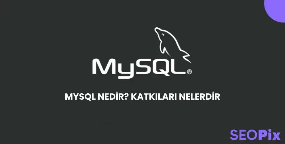 MySQL Nedir? Nasıl Katkı Sağlar?